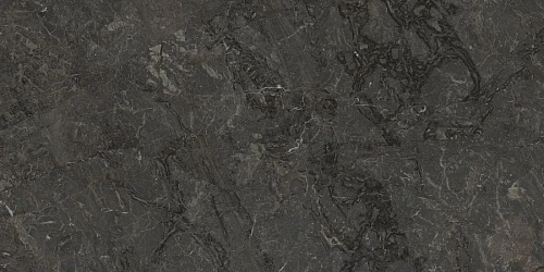 Керамогранит Neodom Ambassador Flagstone Polished 60x120 N70008 Керамогранит Neodom Ambassador Flagstone Polished 60x120 N70008