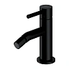 Смеситель для биде OMNIRES Y Y1220BL (черный BLH)
