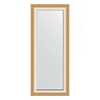 Зеркало в багетной раме Evoform Exclusive BY 1191 66 x 156 см, травленое золото Зеркало в багетной раме Evoform Exclusive BY 1191 66 x 156 см, травленое золото