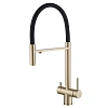 Смеситель для кухни ABBER Wasser Kreis AF81141G с подключением фильтра и выдвижной лейкой, золото матовое