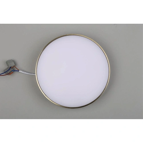 Светильник настенно-потолочный Aployt Evon APL.0114.29.24 Светильник настенно-потолочный Aployt Evon APL.0114.29.24