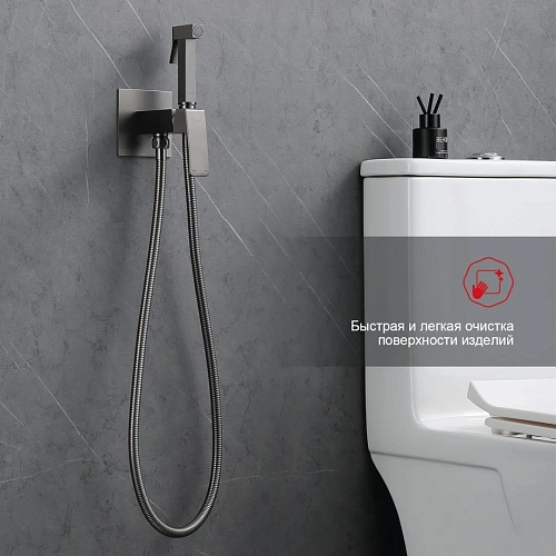 Гигиенический душ Raglo R01.52.09 встраиваемый, графит Гигиенический душ Raglo R01.52.09 встраиваемый, графит