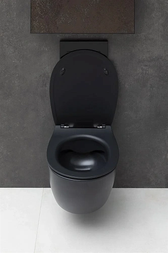 Унитаз подвесной Allen Brau Fantasy 4.11004.31 без сиденья Унитаз подвесной Allen Brau Fantasy 4.11004.31 без сиденья