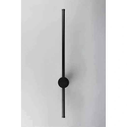 Светильник настенный (Бра) Aployt Gabi APL.0123.01.07 Светильник настенный (Бра) Aployt Gabi APL.0123.01.07