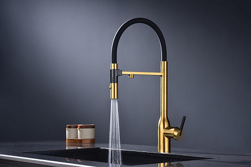 Смеситель для кухни Paulmark Magneto One брашированное золото Ma213188-BG Смеситель для кухни Paulmark Magneto One брашированное золото Ma213188-BG