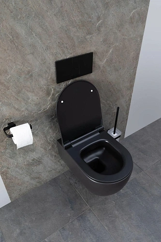 Унитаз подвесной Allen Brau Priority 4.31001.31 с крышкой, черный матовый Унитаз подвесной Allen Brau Priority 4.31001.31 с крышкой, черный матовый