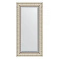 Зеркало в багетной раме Evoform Exclusive BY 1248 57 x 117 см, серебряный акведук Зеркало в багетной раме Evoform Exclusive BY 1248 57 x 117 см, серебряный акведук