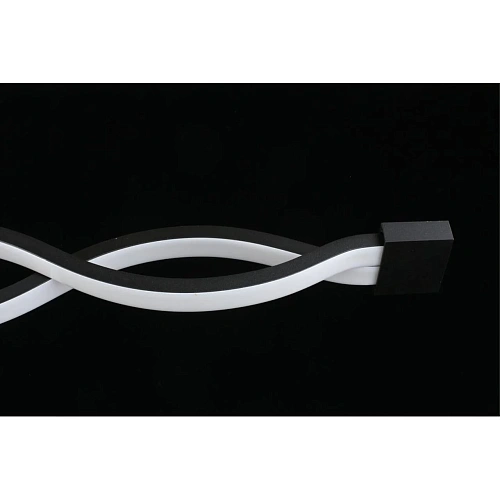 Светильник настенно-потолочный Aployt Nadayn APL.002.12.36 Светильник настенно-потолочный Aployt Nadayn APL.002.12.36