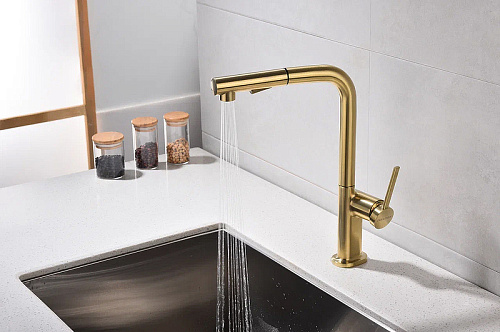 Смеситель для кухни Paulmark Neo брашированное золото Ne214419-BG Смеситель для кухни Paulmark Neo брашированное золото Ne214419-BG