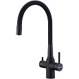 Смеситель для кухни Paulmark SALIX антрацит Sa213419-AN Смеситель для кухни Paulmark SALIX антрацит Sa213419-AN