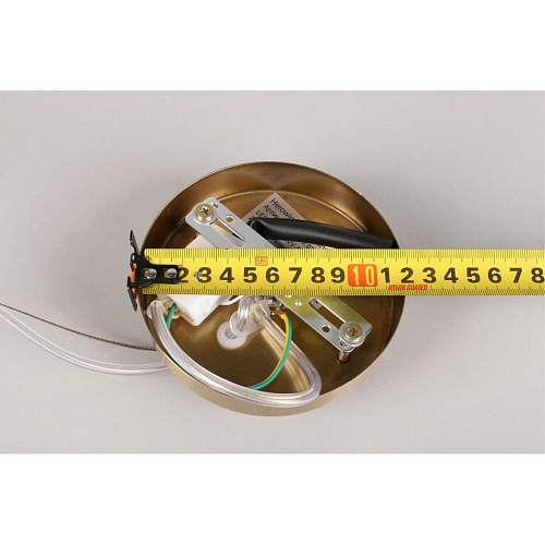 Люстра подвесная Aployt Carla APL.010.03.80 Люстра подвесная Aployt Carla APL.010.03.80