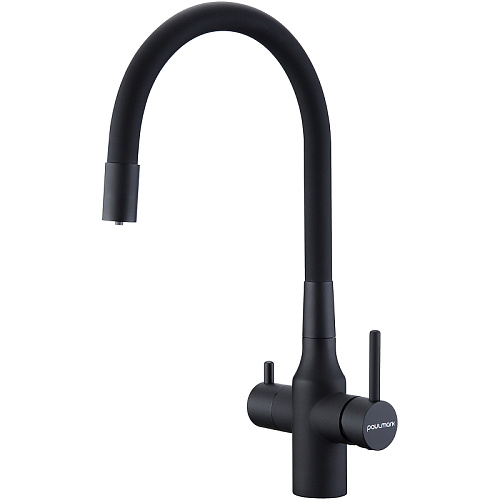Смеситель для кухни Paulmark SALIX антрацит Sa213419-AN Смеситель для кухни Paulmark SALIX антрацит Sa213419-AN