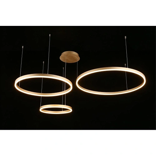 Люстра подвесная Aployt Terenia APL.024.03.136 Люстра подвесная Aployt Terenia APL.024.03.136