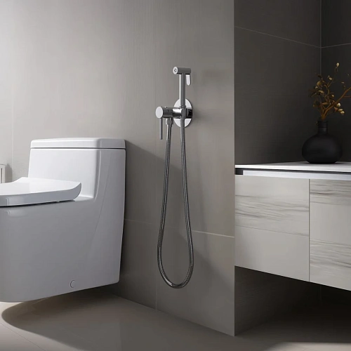 Гигиенический душ Timo Saona 2338/00SM хром Гигиенический душ Timo Saona 2338/00SM хром