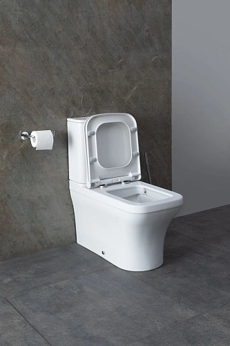 Чаша напольного унитаза Allen Brau Infinity 4.21012.20 с крышкой, белый глянец Чаша напольного унитаза Allen Brau Infinity 4.21012.20 с крышкой, белый глянец