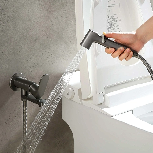 Гигиенический душ Aquatek АЛЬФА AQ1919BGM оружейная сталь Гигиенический душ Aquatek АЛЬФА AQ1919BGM оружейная сталь