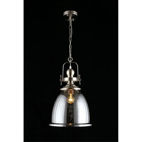 Светильник подвесной Aployt Darunia APL.629.06.01 Светильник подвесной Aployt Darunia APL.629.06.01