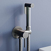 Гигиенический душ RGW Shower Panels SP-211Gr серый brush Гигиенический душ RGW Shower Panels SP-211Gr серый brush
