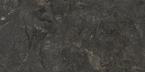 Керамогранит Neodom Ambassador Flagstone Polished 60x120 N70008 Керамогранит Neodom Ambassador Flagstone Polished 60x120 N70008