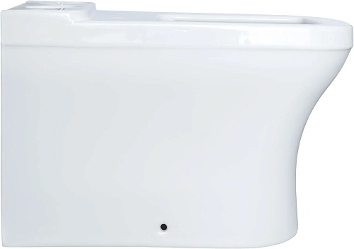 Чаша напольного унитаза Allen Brau Infinity 4.21012.20 с крышкой, белый глянец Чаша напольного унитаза Allen Brau Infinity 4.21012.20 с крышкой, белый глянец