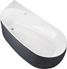 Картинка анонса товара «акриловая ванна allen brau priority 170x80 2.31002.20/am белый глянец (панель антрацит)»