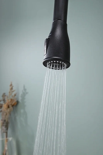 Смеситель для кухни Paulmark LANGE черный La214212-BLM Смеситель для кухни Paulmark LANGE черный La214212-BLM