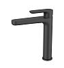Картинка анонса товара «смеситель для раковины agger gorgeous a0212144 высокий, черный»
