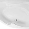 Акриловая ванна Aquanet Capri 170x110 R (с каркасом) 00205387 Акриловая ванна Aquanet Capri 170x110 R (с каркасом) 00205387
