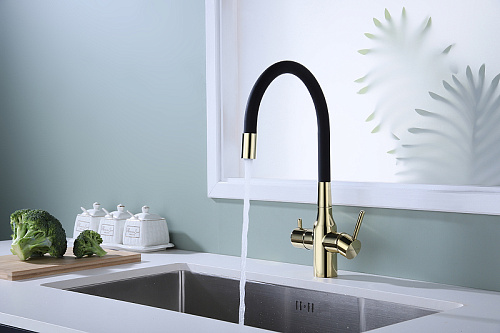 Смеситель для кухни Paulmark Salix золото Sa213419-G Смеситель для кухни Paulmark Salix золото Sa213419-G