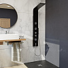 Картинка анонса товара «душевая панель rgw shower panels sp-04b черный»