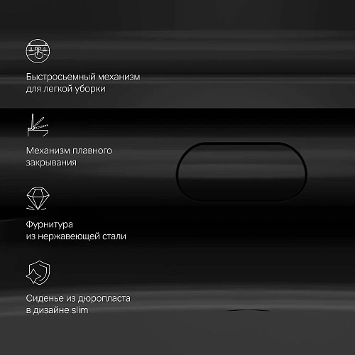Унитаз подвесной AM.PM Func C8F1700MBSC FlashClean с сиденьем микролифт, черный матовый Унитаз подвесной AM.PM Func C8F1700MBSC FlashClean с сиденьем микролифт, черный матовый