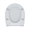 Крышка-сиденье IDDIS Soft Close 005 (005PPS3i31) Крышка-сиденье IDDIS Soft Close 005 (005PPS3i31)
