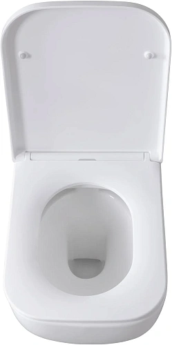 Комплект унитаза Allen Brau Infinity 4.21004.20/8.9466.0.000.000.1 (00316505) с инсталляцией, белый глянец Комплект унитаза Allen Brau Infinity 4.21004.20/8.9466.0.000.000.1 (00316505) с инсталляцией, белый глянец