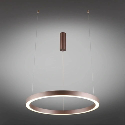 Люстра подвесная Aployt Nisia APL.025.03.48 Люстра подвесная Aployt Nisia APL.025.03.48