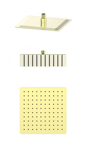 Верхний душ Wonzon & Woghand брашированное золото (WW-88DP06-BG) Верхний душ Wonzon & Woghand брашированное золото (WW-88DP06-BG)