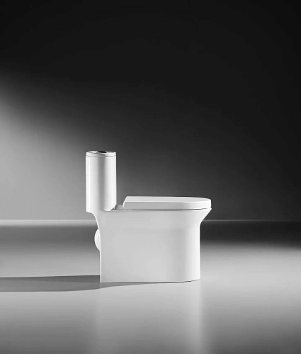 Унитаз напольный ARROW AB1802H белый без сиденья Унитаз напольный ARROW AB1802H белый без сиденья