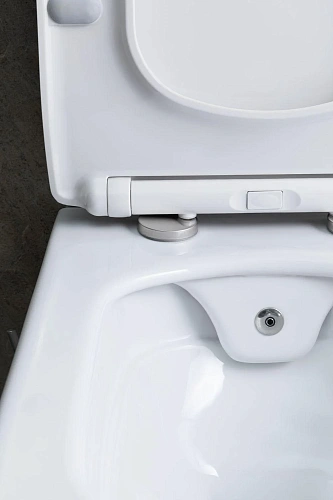 Унитаз подвесной Allen Brau Liberty 4.33009.20 с крышкой, белый Унитаз подвесной Allen Brau Liberty 4.33009.20 с крышкой, белый