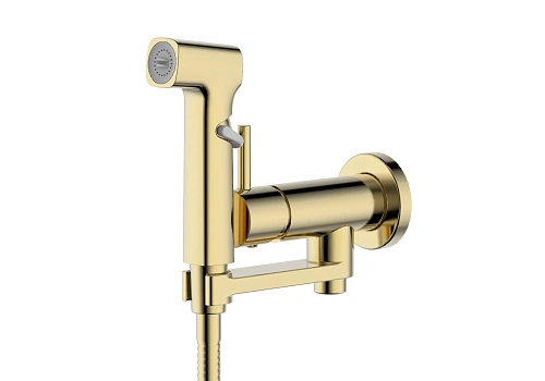 Гигиенический душ Aquatek НИКА AQ1819BG золото шлифованное Гигиенический душ Aquatek НИКА AQ1819BG золото шлифованное