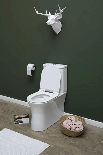 Чаша напольного унитаза Aquanet Rimless Roll-C CL-12249B с сиденьем Чаша напольного унитаза Aquanet Rimless Roll-C CL-12249B с сиденьем