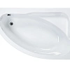 Акриловая ванна Roca Welna 160x100 R асимметричная белая ZRU9302998 Акриловая ванна Roca Welna 160x100 R асимметричная белая ZRU9302998