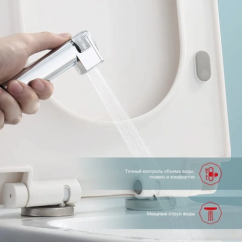 Гигиенический душ Raglo R24.56 встраиваемый с термостатом, хром Гигиенический душ Raglo R24.56 встраиваемый с термостатом, хром