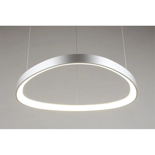 Люстра подвесная Aployt Zula APL.022.13.48 Люстра подвесная Aployt Zula APL.022.13.48