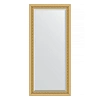 Зеркало в багетной раме Evoform Exclusive BY 1304 75 x 165 см, сусальное золото Зеркало в багетной раме Evoform Exclusive BY 1304 75 x 165 см, сусальное золото