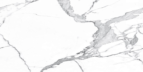 Керамогранит Neodom Matt Statuario Classico Satin 60x120 N20377 Керамогранит Neodom Matt Statuario Classico Satin 60x120 N20377