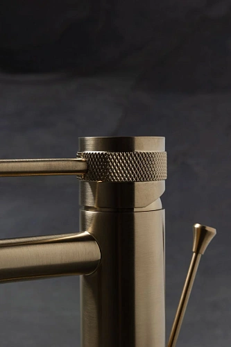 Смеситель для биде Allen Brau Priority 5.31A04-GB (с донным клапаном) золото Смеситель для биде Allen Brau Priority 5.31A04-GB (с донным клапаном) золото