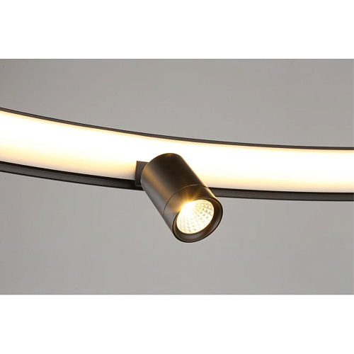 Люстра подвесная Aployt Jolanta APL.041.13.75 Люстра подвесная Aployt Jolanta APL.041.13.75