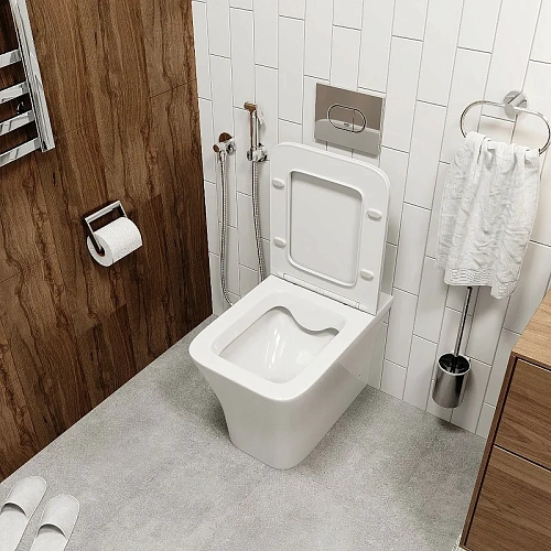 Унитаз приставной Ceruttispa MARMOLADA F CT8906 безободковый, сиденье микролифт Унитаз приставной Ceruttispa MARMOLADA F CT8906 безободковый, сиденье микролифт