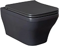 Унитаз подвесной Allen Brau Infinity 4.21011.AN с крышкой, антрацит Унитаз подвесной Allen Brau Infinity 4.21011.AN с крышкой, антрацит