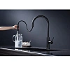 Смеситель для кухни Paulmark Senso антрацит Se215180-AN Смеситель для кухни Paulmark Senso антрацит Se215180-AN