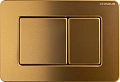 Клавиша смыва CHARUS ROBUSTO FP.310.BTG.05 брашированное золото (темное) Клавиша смыва CHARUS ROBUSTO FP.310.BTG.05 брашированное золото (темное)